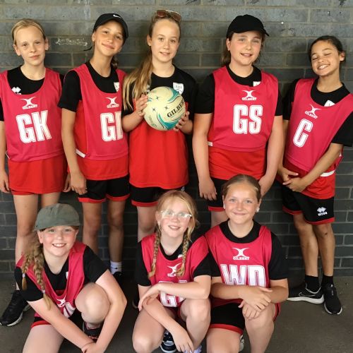 Netball Festival